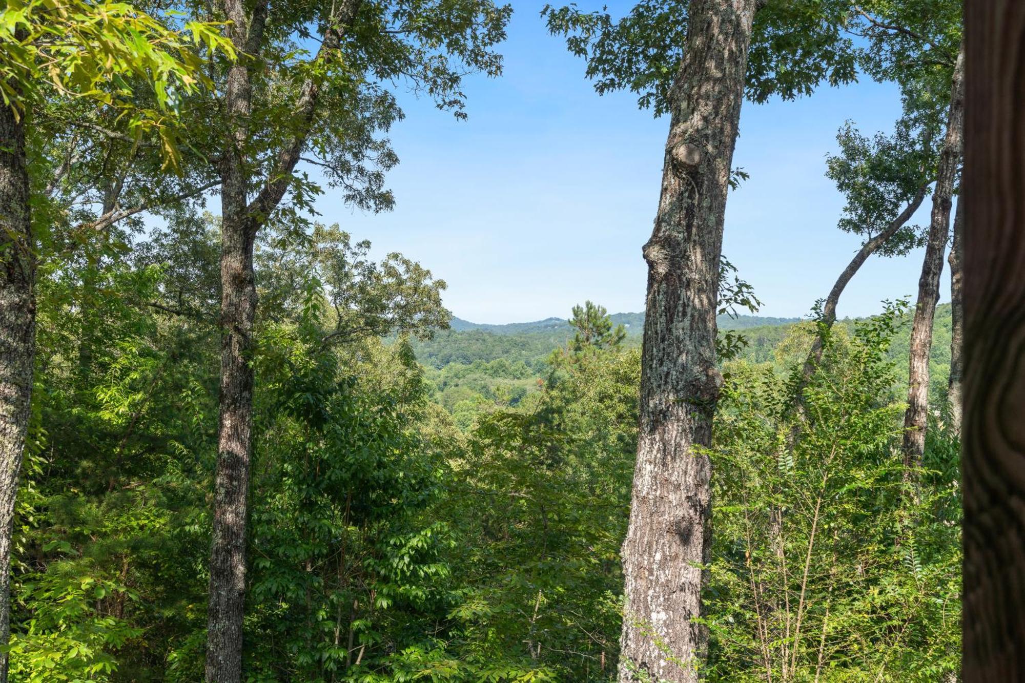 Mountain Rivers Lodge Blue Ridge Bagian luar foto